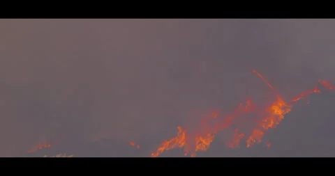 Pacific Pailisades fire with trees Stock Footage 297435310