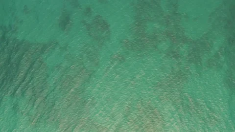 PACIFIC REEF MAUI OVERHEAD DRONE 2 Stock Footage 227229985