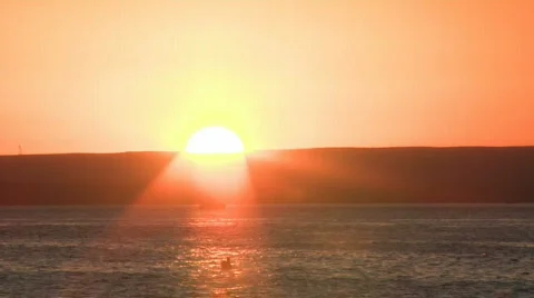 Pacific sunset with bird in sun Stock Footage 299034