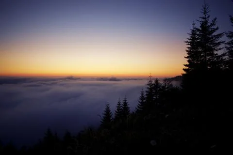 Pacific sunset. cloud layer above redwood forest hills. beautiful california Foto stock