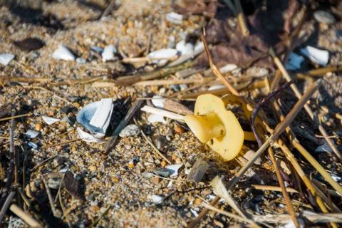 Pacifier Washed up on a Beach Stock Photos
