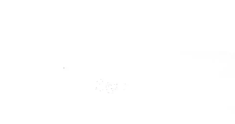 A pack of 3 different flocks of crows isolated on white background. Black ravens Stock Footage 166680659