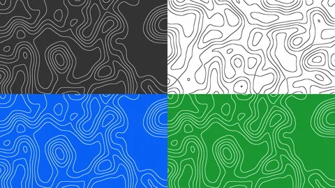 Pack of 4 Topographic Textures Animation. Stock-Footage 312479307