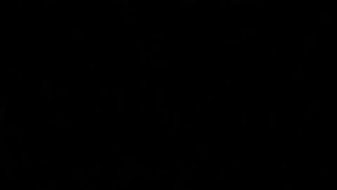 Pack of Animated Hand Drawn Scribbles Doodle Backgrounds Stock Footage 304408628