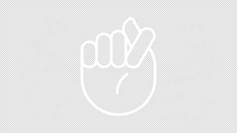 Pack of animated linear icons representing hand gesture Stock Footage 276463284