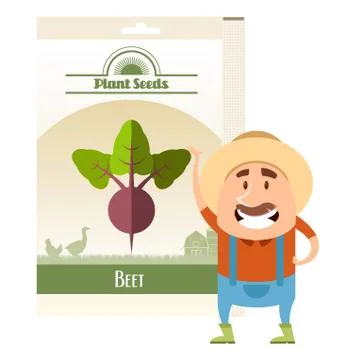 Pack of Beet seeds icons Stock Illustration