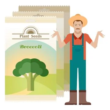 Pack of Broccoli seeds icon Stock Illustration