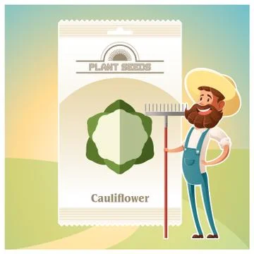Pack of Cauliflower seeds icon Stock Illustration