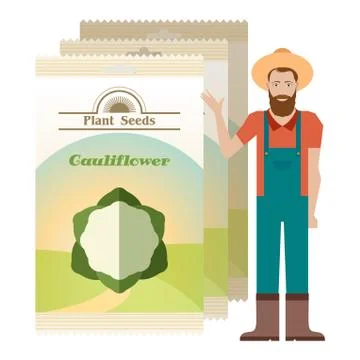 Pack of Cauliflower seeds icon Stock Illustration