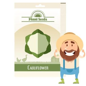 Pack of Cauliflower seeds icon Illustrazione stock