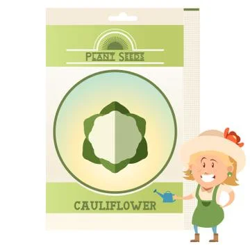 Pack of Cauliflower seeds icon Stock Illustration
