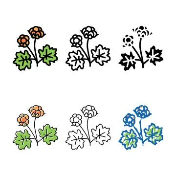 Pack cloudberry berry color icon vector Stock Illustration