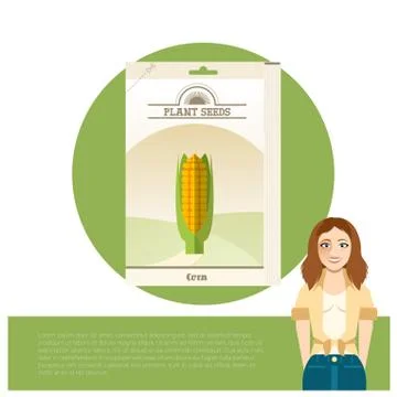 Pack of Corn seeds icon Stock Illustration