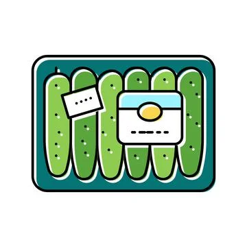 Pack of cucumber color icon vector illustration イラスト素材