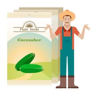 Pack of Cucumber seeds icon Stock Illustration
