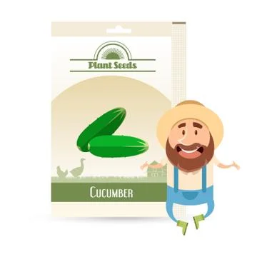Pack of Cucumber seeds icon Stock Illustration
