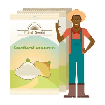 Pack of Custard marrow seeds Stock Illustration