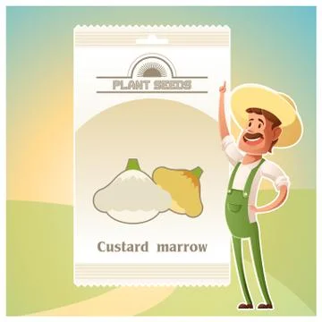 Pack of Custard marrow seeds Stock Illustration