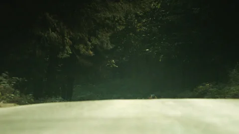 PACK OF CYCLISTS RIDING TOWARDS CAMERA - SLOWMO Stock Footage 141279846