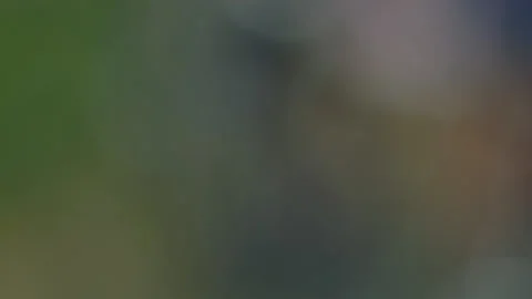 PACK OF CYCLISTS ON ROAD Stock Footage 141288413