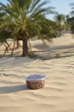 Pack of Dates on Desert Sand in Palm Oasis Stock Photos
