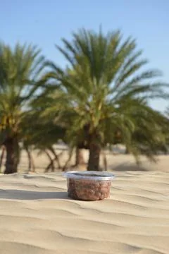 Pack of Dates on Desert Sand in Palm Oasis Fotos Stock