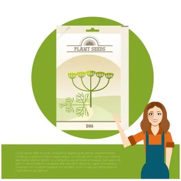 Pack of Dill seeds icon Stock Illustration