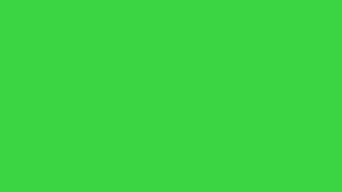 Pack of dogs running by on a Green Screen, Chroma Key. Stockbeeldmateriaal 187564774