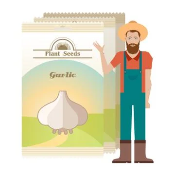 Pack of garlic seeds icon Stock Illustration