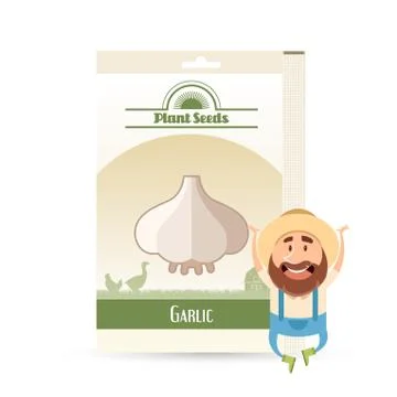 Pack of garlic seeds icon Stock Illustration