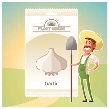 Pack of garlic seeds icon Stock Illustration