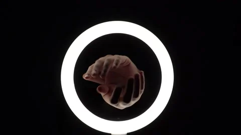Pack of gestures. female hands close-up make figures from fingers. finger play Stock Footage 193450899