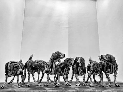 A Pack Of Hounds Stock Photos