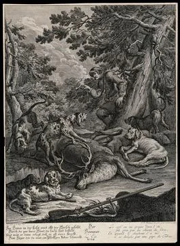 A pack of hunting hounds is resting next to a dead stag while the huntsman .. Stock Illustration