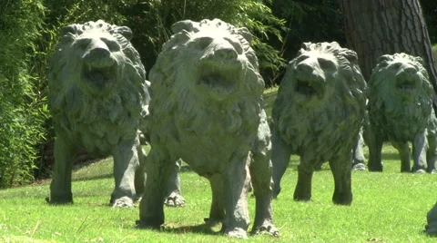 A pack of lions roaring statues Stock Footage 61473345