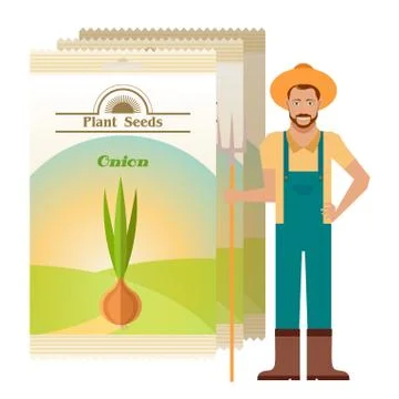 Pack of Onion seeds icon Stock Illustration