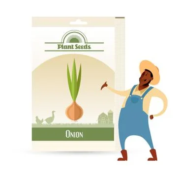 Pack of Onion seeds icon Stock Illustration