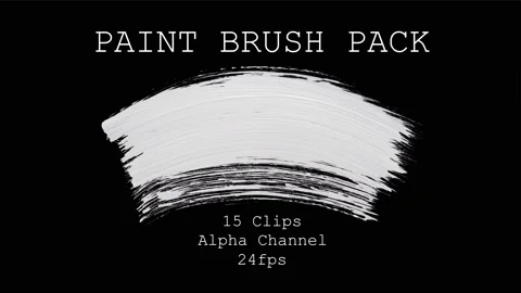 Pack of paint brushes. Stock Footage 169160659