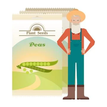 Pack of Peas seeds icon Stock Illustration