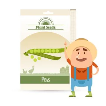 Pack of Peas seeds icon Stock Illustration