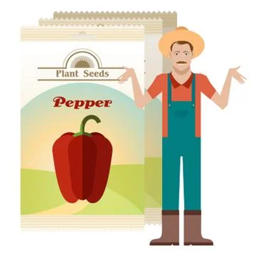 Pack of Pepper seeds icon Stock Illustration