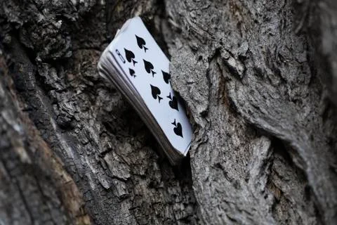 Pack of plaing cards. Stock Photos