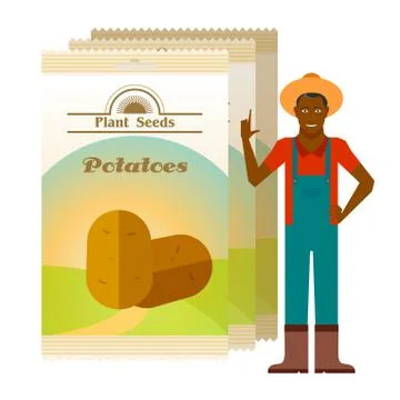 Pack of Potatoes seeds icon Stock Illustration