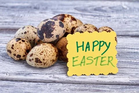 Pack of quail eggs. 스톡 사진