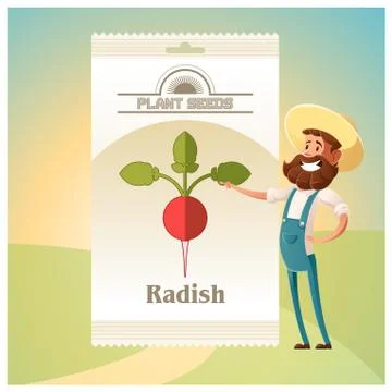 Pack of Radish seeds icon Stock Illustration