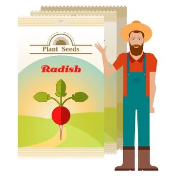 Pack of Radish seeds icon Stock Illustration