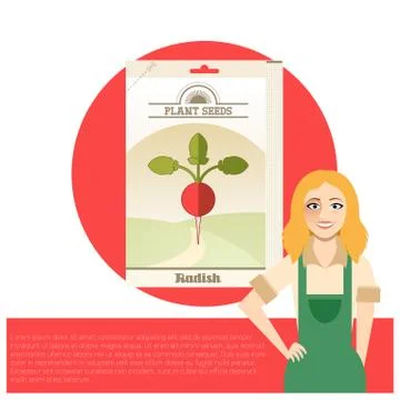 Pack of Radish seeds icon Stock Illustration