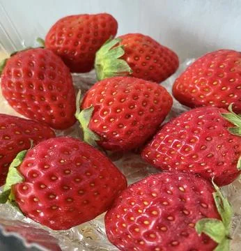 A Pack of red strawberries Foto stock