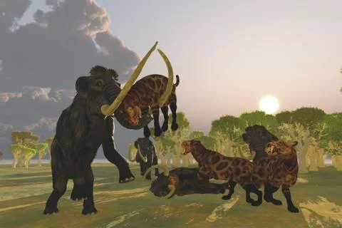 A pack of Saber Tooth Cats attack a small Woolly Mammoth. Stock Illustration