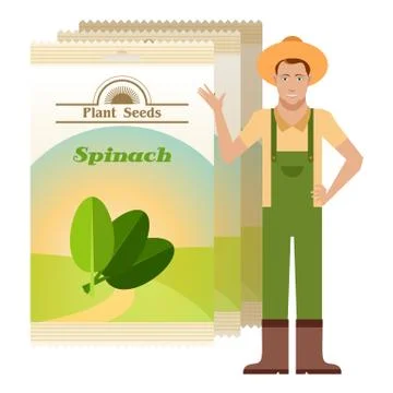 Pack of Spinach seeds icon Stock Illustration
